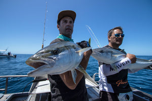 Maven Fishing for Kingfish in Whitianga New Zealand