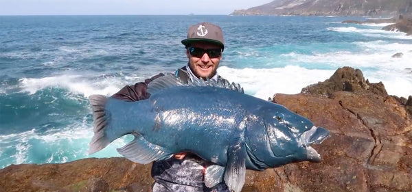 Blue Groper PB in WA - Dixon's Fishing