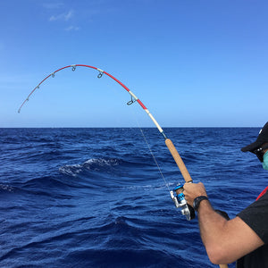 Maven Pacific 8'3" Stickbait Rod - PE4-6