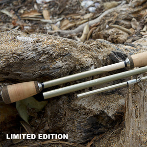 Champagne | Gulf 7'0" Spinning Rod