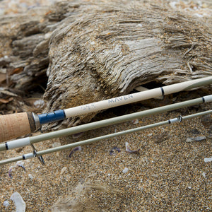 Champagne | Gulf 7'0" Spinning Rod